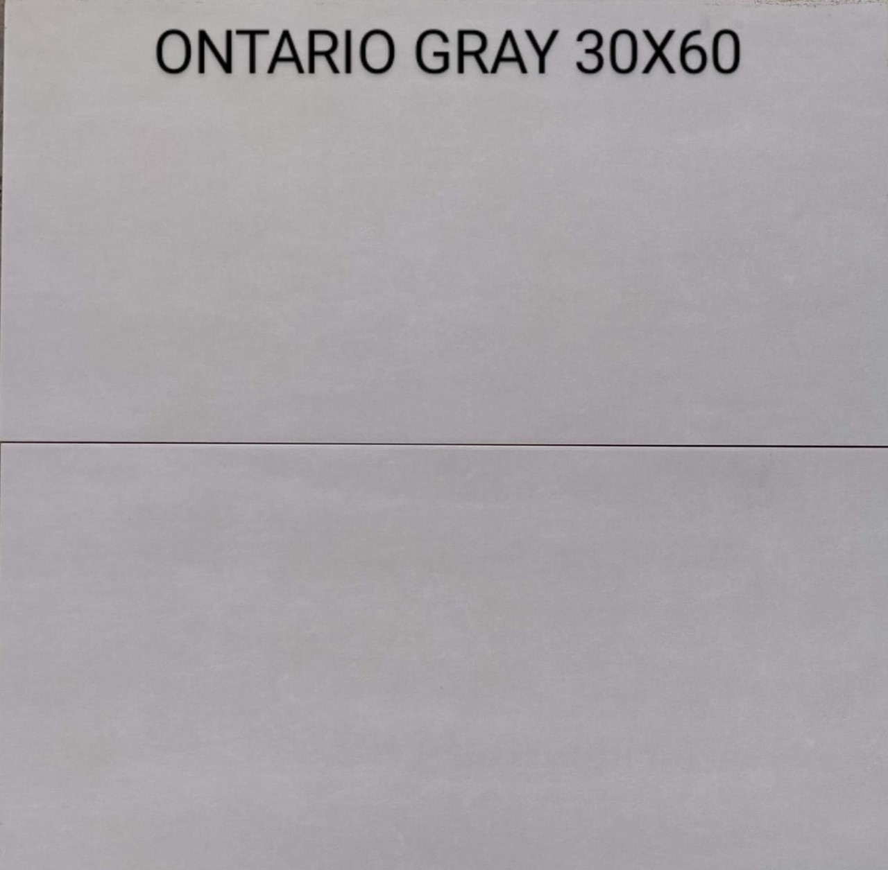 Porcelanato Cn-Ontario Grey 30x60cm